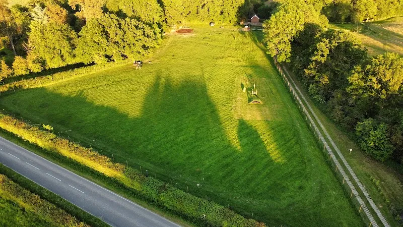 Furry Friends Freedom Field secure private dog field in Reigate, RH2 8PZ