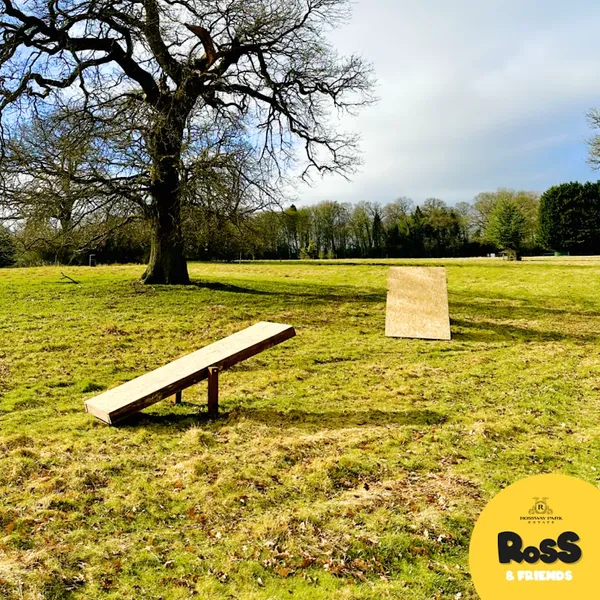 Ross & Friends Dog Experience secure private dog field in Berkhamsted, HP4 3TZ