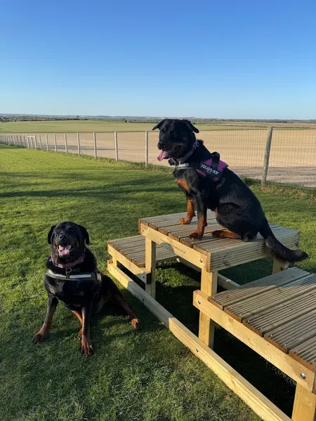 Summer House Farm secure private dog field in Royston, SG8 6DL