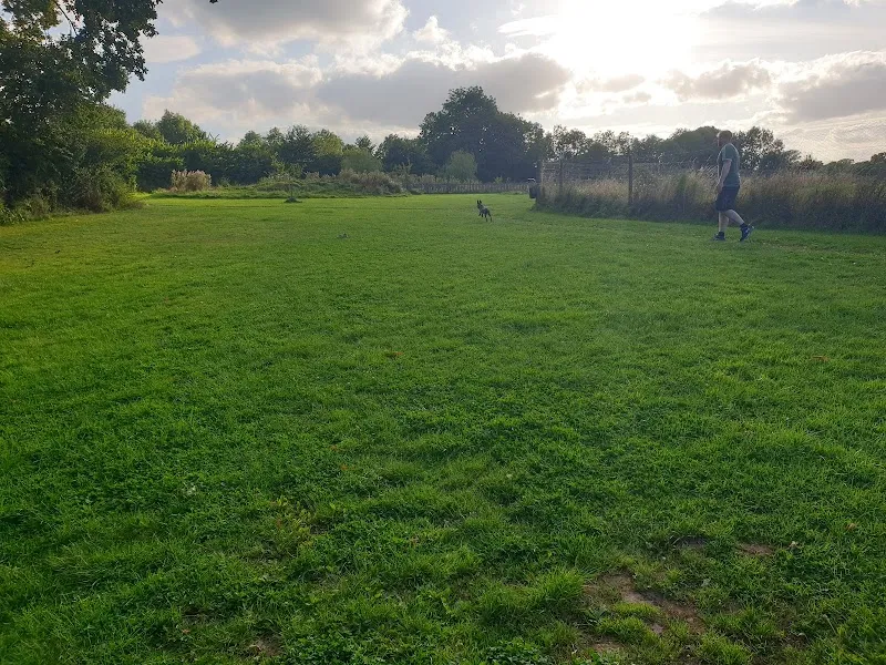 Houndsville secure private dog field in Wellington, TA21 9PW