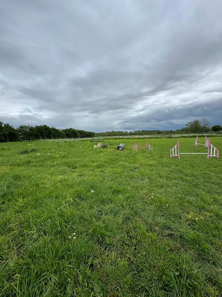 Paws At Manor Farm secure private dog field in Oxfordshire, OX10 7BE