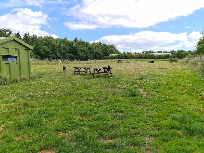 Crossroads Farm kennels secure private dog field in Market Rasen, LN8 3JE