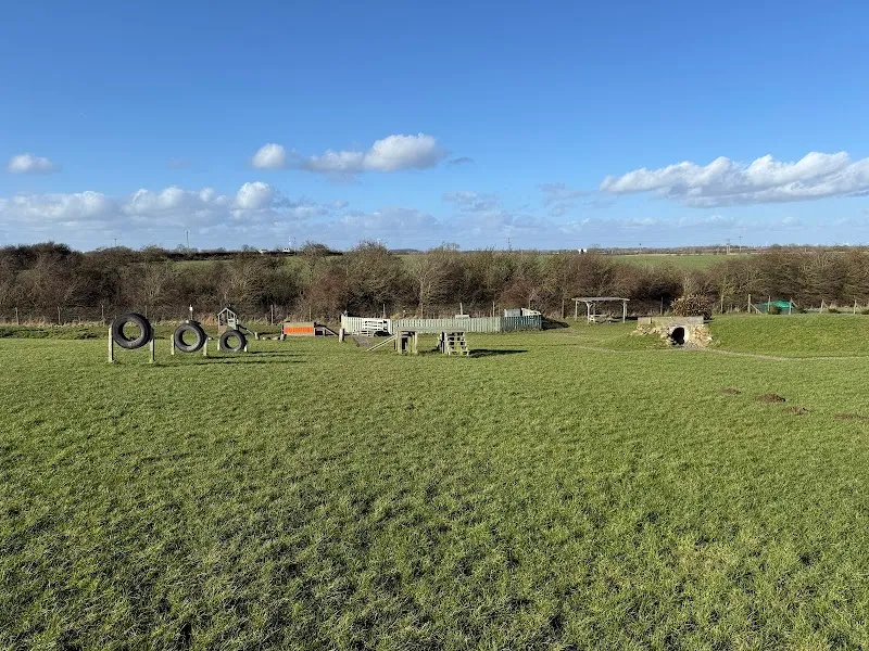 Dogwood Adventure Play secure private dog field in Stockton-on-Tees, TS21 1EX