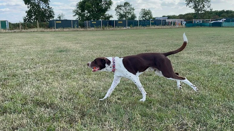 Long Clawson Dog Walking Field secure private dog field in Melton Mowbray, LE14 4PJ