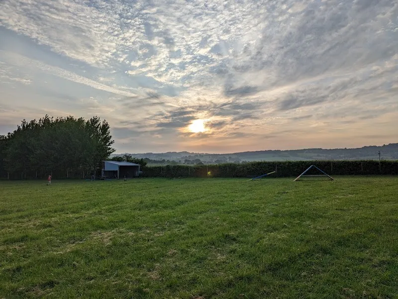 Bromyard Dog Field secure private dog field in Bromyard, HR7 4LP