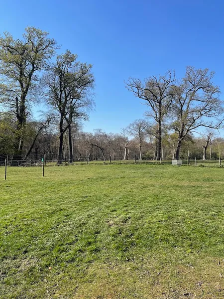 Terrific Bark Park secure private dog field in Slough, SL2 4AF