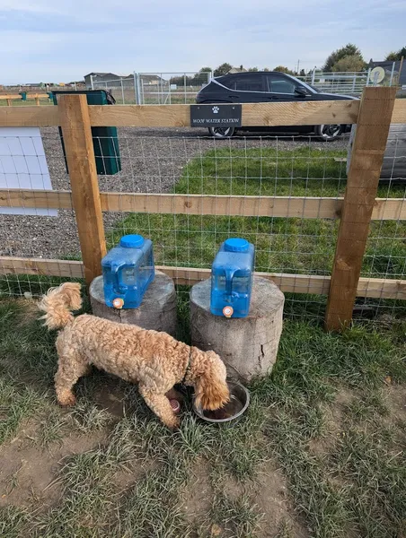 Freckenham Secure Dog Field secure private dog field in Warren Road Herringswell, CB8 7QP