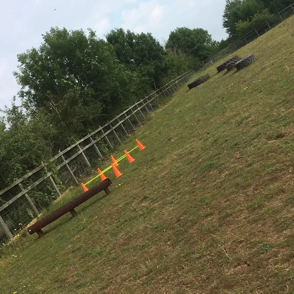 Rainbow's End Farm - Stanwick secure private dog field in Wellingborough, NN9 6TZ