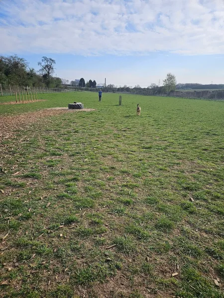 Grow Walkies - Graveley secure private dog field in SG4 7LE