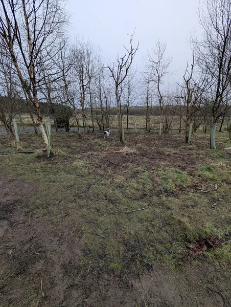 Run Free Dog Fields - Broxburn secure private dog field in West Lothian, EH52 6PN