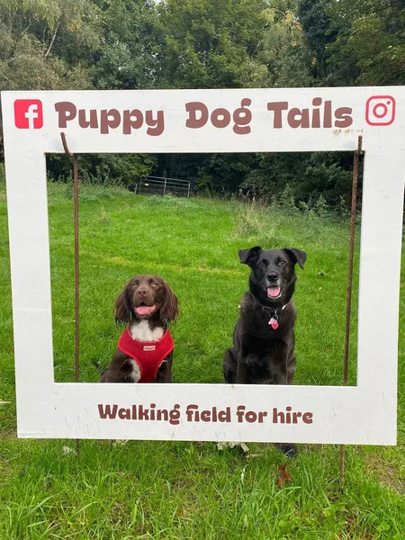 Puppy Dog Tails secure private dog field in Rochester, ME1 3TR