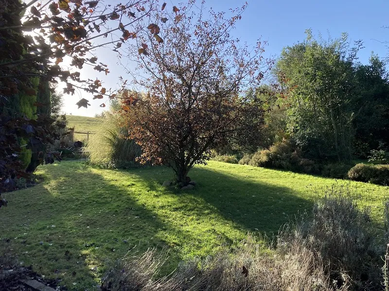 Paws Adventure Park secure private dog field in Hinckley, LE10 3AR