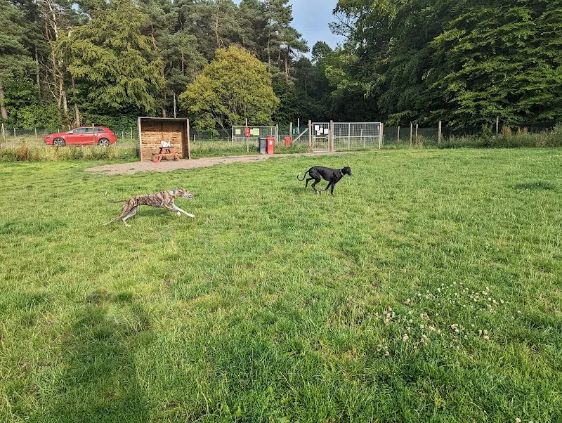 Run Free Dog Fields - Castlecary secure private dog field in Bonnybridge, FK4 2HP