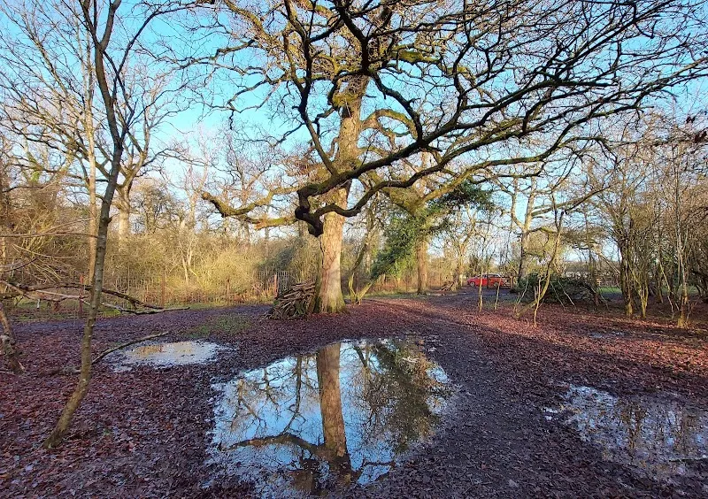 Wickwater Woods secure private dog field in Gloucestershire, GL7 5RL