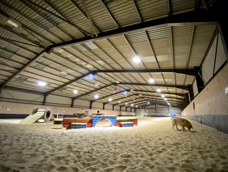 The BIG Barn secure private dog field in East Sussex, BN27 2RP