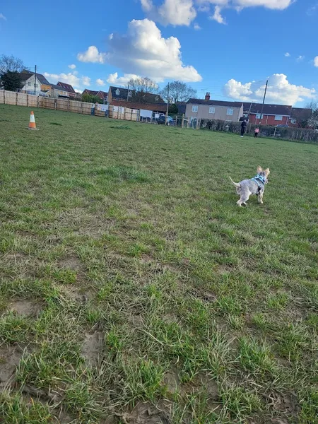 The Paw Patch secure private dog field in Basildon, SS15 4BU