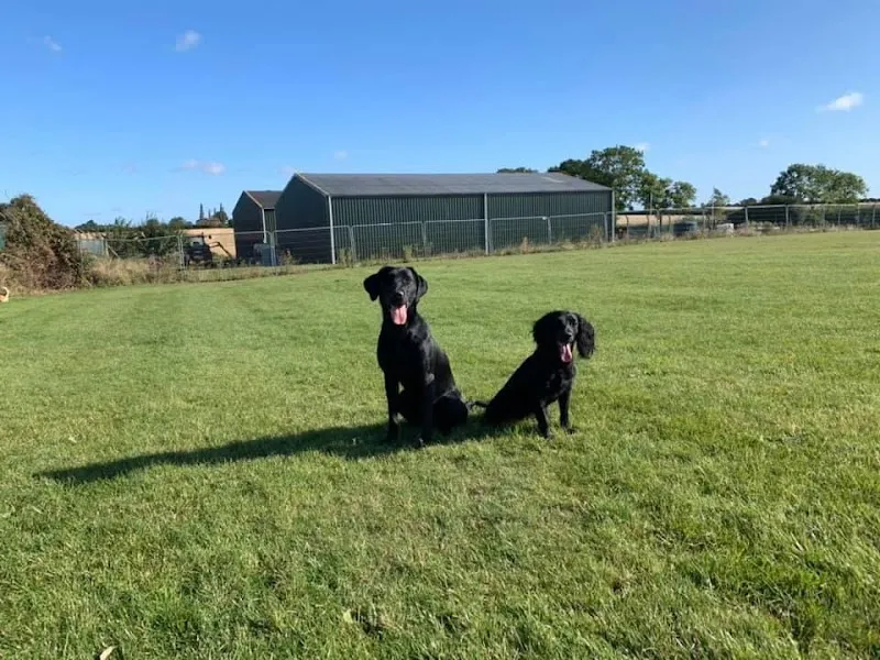 Rachel’s Happy Hounds Secure Secure Exercise Field secure private dog field in PE28 5LU