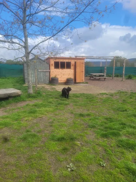 Life off the Lead secure private dog field in Fernhurst, GU27 3HA