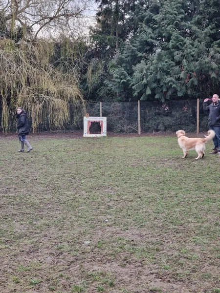 Florence's Field secure private dog field in Gloucester, GL3 3SH