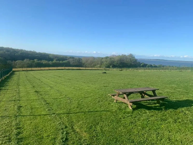 Un-Leashed Dog Exercise Area secure private dog field in Whitford, CH8 9EG