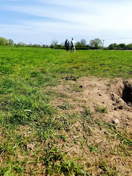 Sycamore Dog Field secure private dog field in Burscough, L40 7SR