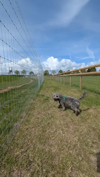 Leamington Dog Field secure private dog field in Warwick, CV33 9BP