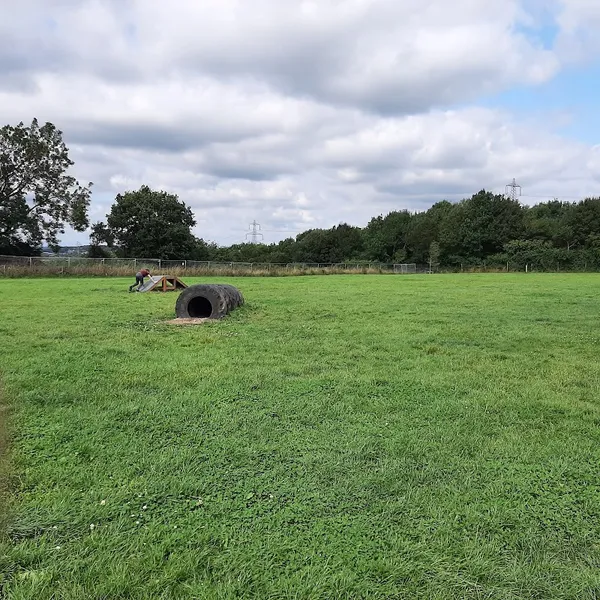 Oxford Secure Dog Walking Field secure private dog field in OX33 1DE