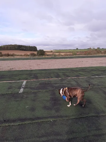 Radcliffe-on-Trent Dog Walking Field secure private dog field in Nottingham, NG12 2JP
