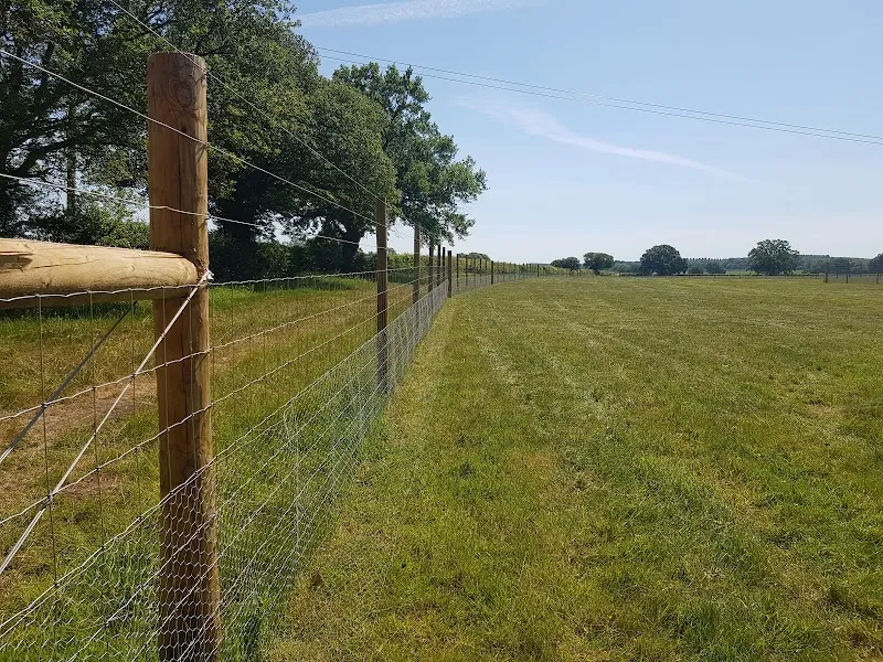 Shotesham Paw Park secure private dog field in Norwich, NR15 1UZ