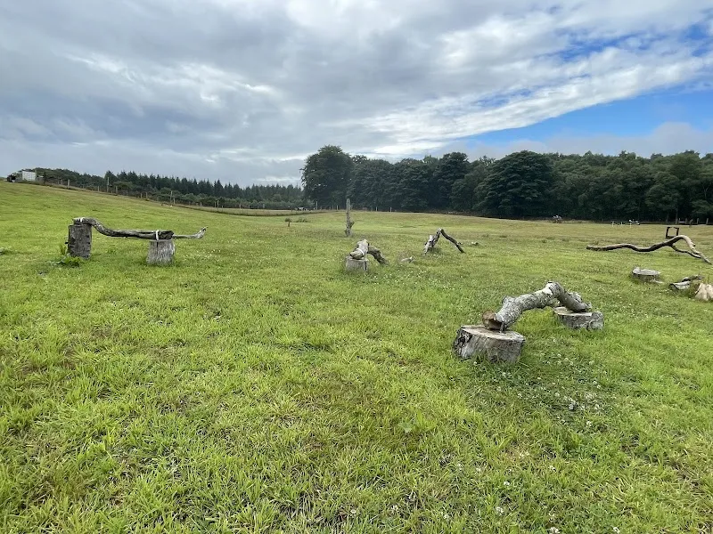 Zoomies Aberdeen secure private dog field in Aberdeen, AB21 7AQ
