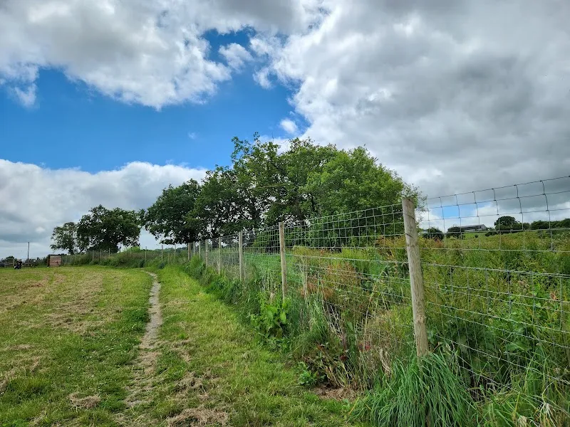 Wern Isaf Secure Dog Walking Field secure private dog field in Treharris, CF46 6PW