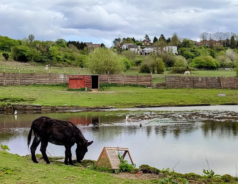 Brockswood Animal Sanctuary secure private dog field in Sedgley, DY3 3YE