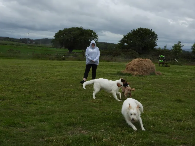 Ruff Pastures secure private dog field in Aberdeen, AB12 4RR