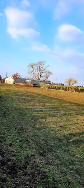 Kirkgunzeon Canines secure private dog field in Kirkgunzeon, DG2 8JW