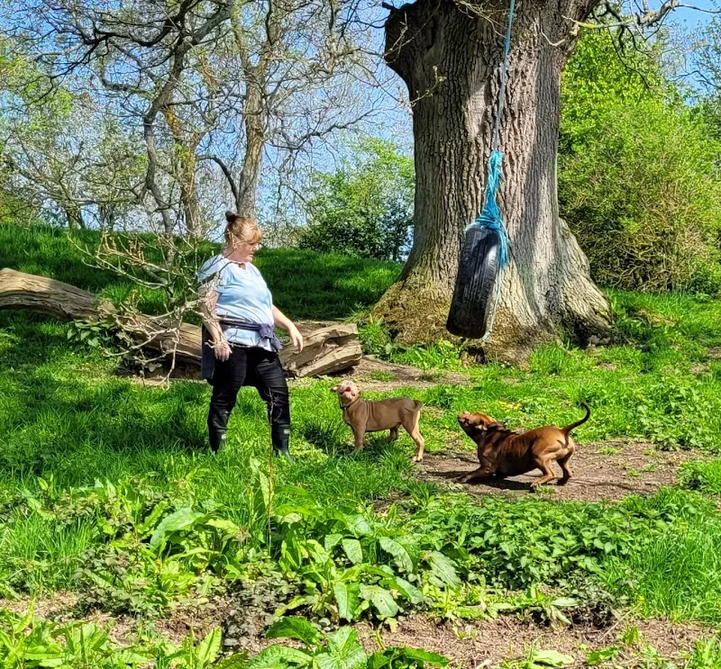 Ronnie's Field secure private dog field in Cheltenham, GL52 6NH