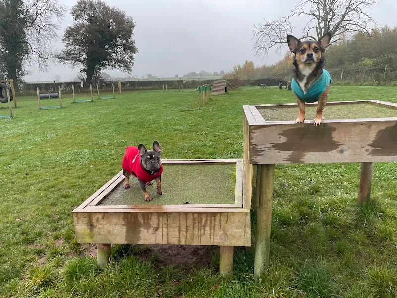 Treworgan Fields secure private dog field in Ross On Wye, HR96HB