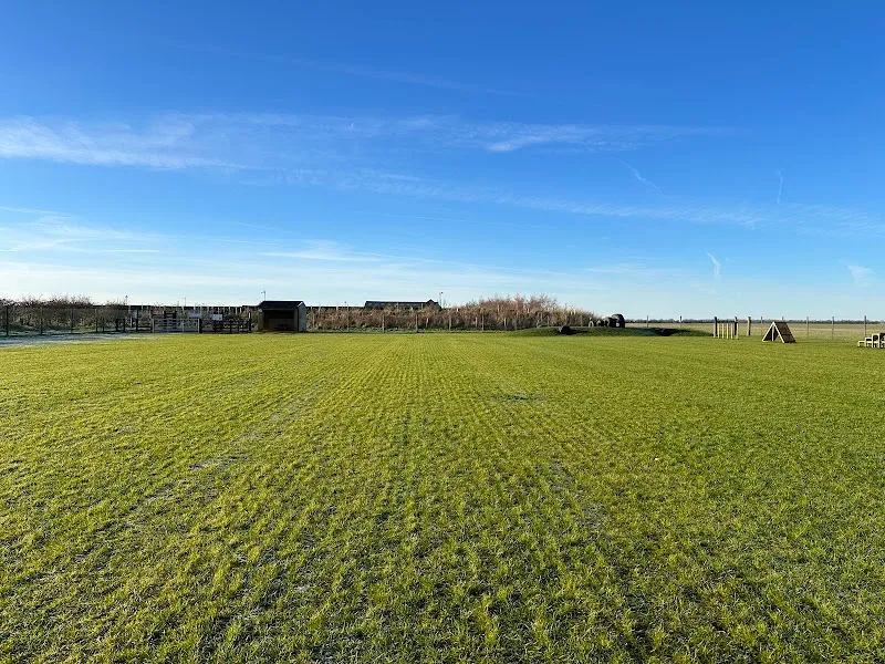 Lincoln Dog Fields secure private dog field in Spilsby, LN1 2RG