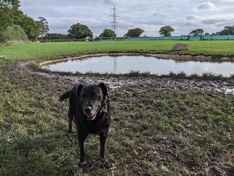 Off the Leash Dog Parks secure private dog field in Ellesmere Port, CH66 0ND