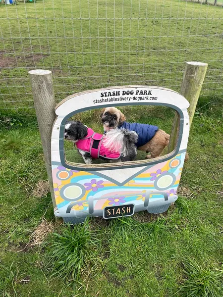Stash dog park secure private dog field in Smestow, DY3 4PJ