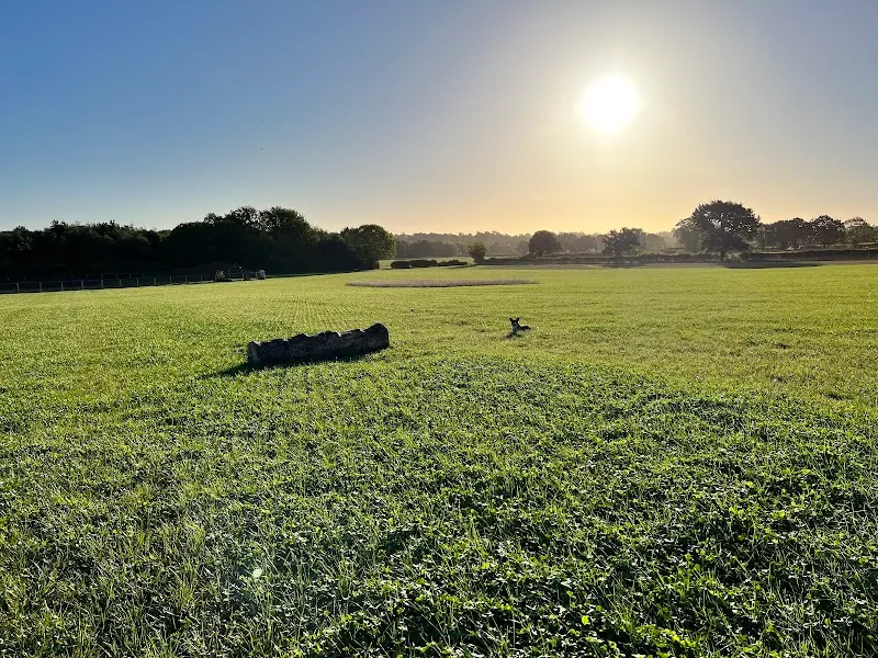 Shotteswell Dog Walking Fields secure private dog field in Shotteswell, OX17 1JA