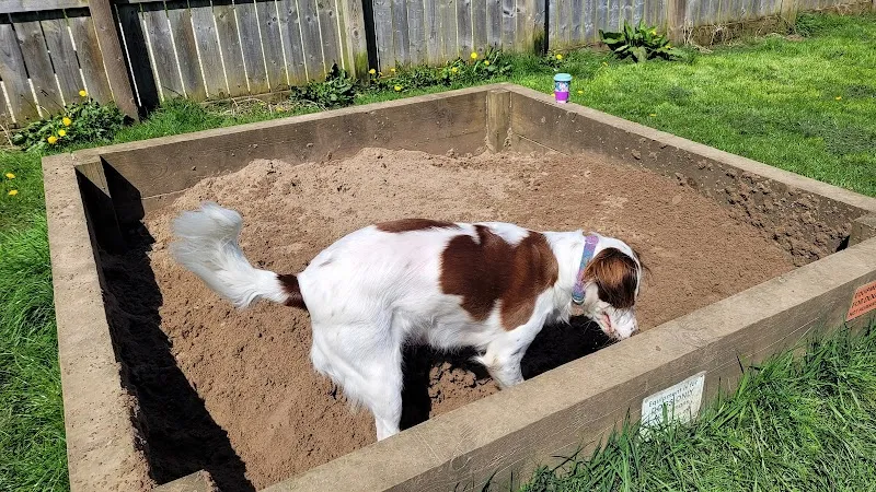 Dogzone secure private dog field in Ripon, HG4 3JQ