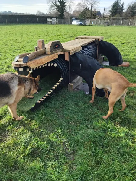 The Perfect Spot Secure Dog Field secure private dog field in Goxhill, DN19 7LY