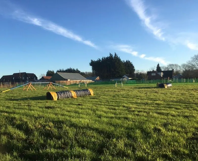 Bounce Dogs secure private dog field in Writtle, CM1 3NZ