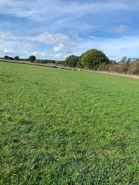 Dance's Dog Paddock secure private dog field in SALISBURY, SP5 3SD
