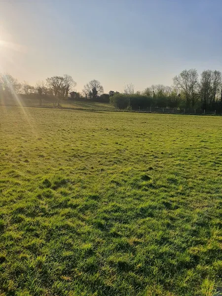 Manor Farm secure private dog field in Fakenham, NR21 7HZ