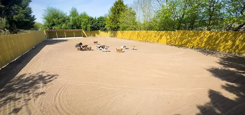Broomhill Farm Dog Exercise Field secure private dog field in Derbyshire, S41 9EA