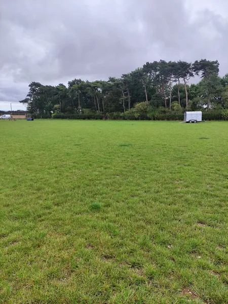 Lions Den Dog Field secure private dog field in Beverley, HU17 8SZ