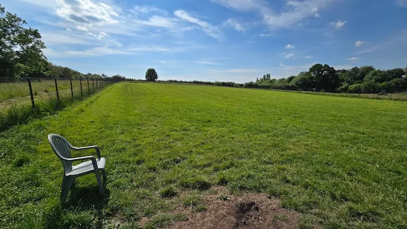 Dog Exercise Worcester secure private dog field in Worcester, WR5 2RA