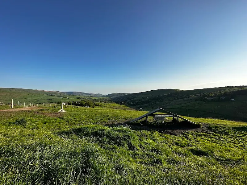 My Dog Field secure private dog field in Saddleworth, OL3 5LU
