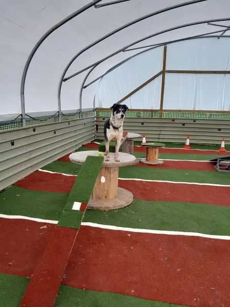 The Wag-Tail Meadow (Stocking Barn Farm ) secure private dog field in HR6 9PX